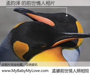 #孟婆前世情人照相馆# 【孟昀泽 的前世情人】前生，我们相亲相爱，相约下辈子还要在一起，你的誓言可别忘记。然而轮回路上的一碗孟婆汤，却将一切归零。茫茫人悔，谁是我的前世情人？孟昀泽 的前世情人，有图有真相：