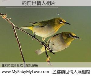 #孟婆前世情人照相馆# 【張龍蓀 的前世情人】前生，我们相亲相爱，相约下辈子还要在一起，你的誓言可别忘记。然而轮回路上的一碗孟婆汤，却将一切归零。茫茫人悔，谁是我的前世情人？張龍蓀 的前世情人，有图有真相：