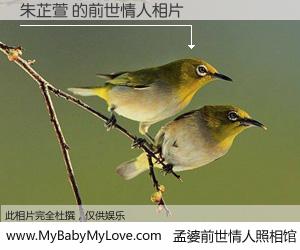 #孟婆前世情人照相馆# 【朱芷萱 的前世情人】前生，我们相亲相爱，相约下辈子还要在一起，你的誓言可别忘记。然而轮回路上的一碗孟婆汤，却将一切归零。茫茫人悔，谁是我的前世情人？朱芷萱 的前世情人，有图有真相：