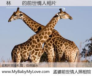 #孟婆前世情人照相馆# 【林鈺欽 的前世情人】前生，我们相亲相爱，相约下辈子还要在一起，你的誓言可别忘记。然而轮回路上的一碗孟婆汤，却将一切归零。茫茫人悔，谁是我的前世情人？林鈺欽 的前世情人，有图有真相：