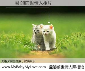 #孟婆前世情人照相馆# 【楊鳴君 的前世情人】前生，我们相亲相爱，相约下辈子还要在一起，你的誓言可别忘记。然而轮回路上的一碗孟婆汤，却将一切归零。茫茫人悔，谁是我的前世情人？楊鳴君 的前世情人，有图有真相：