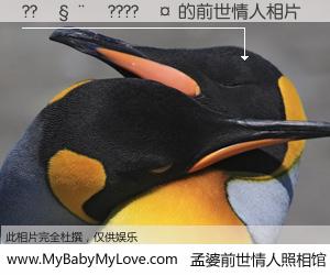 #孟婆前世情人照相馆# 【??����????�� 的前世情人】前生，我们相亲相爱，相约下辈子还要在一起，你的誓言可别忘记。然而轮回路上的一碗孟婆汤，却将一切归零。茫茫人悔，谁是我的前世情人？??����????�� 的前世情人，有图有真相：
