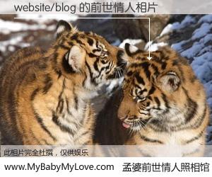 #孟婆前世情人照相馆# 【website/blog 的前世情人】前生，我们相亲相爱，相约下辈子还要在一起，你的誓言可别忘记。然而轮回路上的一碗孟婆汤，却将一切归零。茫茫人悔，谁是我的前世情人？website/blog 的前世情人，有图有真相：