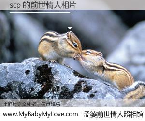 #孟婆前世情人照相馆# 【scp 的前世情人】前生，我们相亲相爱，相约下辈子还要在一起，你的誓言可别忘记。然而轮回路上的一碗孟婆汤，却将一切归零。茫茫人悔，谁是我的前世情人？scp 的前世情人，有图有真相：