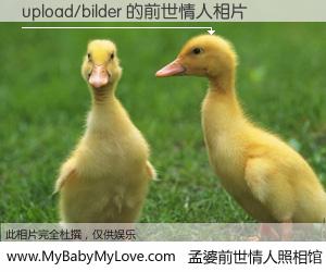 #孟婆前世情人照相馆# 【upload/bilder 的前世情人】前生，我们相亲相爱，相约下辈子还要在一起，你的誓言可别忘记。然而轮回路上的一碗孟婆汤，却将一切归零。茫茫人悔，谁是我的前世情人？upload/bilder 的前世情人，有图有真相：