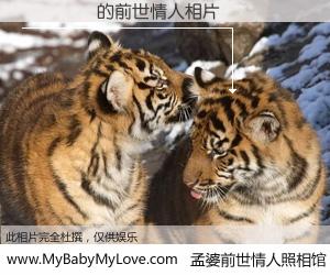 #孟婆前世情人照相馆# 【�ﾲ�� 的前世情人】前生，我们相亲相爱，相约下辈子还要在一起，你的誓言可别忘记。然而轮回路上的一碗孟婆汤，却将一切归零。茫茫人悔，谁是我的前世情人？�ﾲ�� 的前世情人，有图有真相：