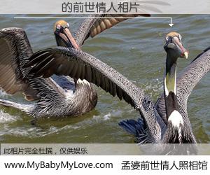 #孟婆前世情人照相馆# 【��� 的前世情人】前生，我们相亲相爱，相约下辈子还要在一起，你的誓言可别忘记。然而轮回路上的一碗孟婆汤，却将一切归零。茫茫人悔，谁是我的前世情人？��� 的前世情人，有图有真相：