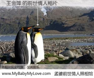 #孟婆前世情人照相馆# 【王金萍 的前世情人】前生，我们相亲相爱，相约下辈子还要在一起，你的誓言可别忘记。然而轮回路上的一碗孟婆汤，却将一切归零。茫茫人悔，谁是我的前世情人？王金萍 的前世情人，有图有真相：