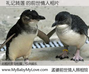 #孟婆前世情人照相馆# 【礼记转莲 的前世情人】前生，我们相亲相爱，相约下辈子还要在一起，你的誓言可别忘记。然而轮回路上的一碗孟婆汤，却将一切归零。茫茫人悔，谁是我的前世情人？礼记转莲 的前世情人，有图有真相：