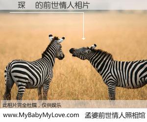 #孟婆前世情人照相馆# 【陸琛橋 的前世情人】前生，我们相亲相爱，相约下辈子还要在一起，你的誓言可别忘记。然而轮回路上的一碗孟婆汤，却将一切归零。茫茫人悔，谁是我的前世情人？陸琛橋 的前世情人，有图有真相：