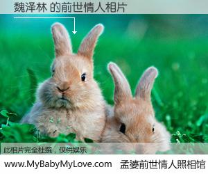 #孟婆前世情人照相馆# 【魏泽林 的前世情人】前生，我们相亲相爱，相约下辈子还要在一起，你的誓言可别忘记。然而轮回路上的一碗孟婆汤，却将一切归零。茫茫人悔，谁是我的前世情人？魏泽林 的前世情人，有图有真相：