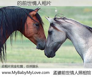#孟婆前世情人照相馆# 【吳堉 的前世情人】前生，我们相亲相爱，相约下辈子还要在一起，你的誓言可别忘记。然而轮回路上的一碗孟婆汤，却将一切归零。茫茫人悔，谁是我的前世情人？吳堉 的前世情人，有图有真相：