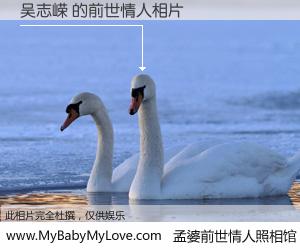 #孟婆前世情人照相馆# 【吴志嵘 的前世情人】前生，我们相亲相爱，相约下辈子还要在一起，你的誓言可别忘记。然而轮回路上的一碗孟婆汤，却将一切归零。茫茫人悔，谁是我的前世情人？吴志嵘 的前世情人，有图有真相：