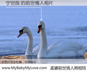 #孟婆前世情人照相馆# 【宁世良 的前世情人】前生，我们相亲相爱，相约下辈子还要在一起，你的誓言可别忘记。然而轮回路上的一碗孟婆汤，却将一切归零。茫茫人悔，谁是我的前世情人？宁世良 的前世情人，有图有真相：