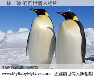 #孟婆前世情人照相馆# 【林珮玲 的前世情人】前生，我们相亲相爱，相约下辈子还要在一起，你的誓言可别忘记。然而轮回路上的一碗孟婆汤，却将一切归零。茫茫人悔，谁是我的前世情人？林珮玲 的前世情人，有图有真相：