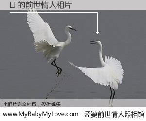 #孟婆前世情人照相馆# 【LJ 的前世情人】前生，我们相亲相爱，相约下辈子还要在一起，你的誓言可别忘记。然而轮回路上的一碗孟婆汤，却将一切归零。茫茫人悔，谁是我的前世情人？LJ 的前世情人，有图有真相：