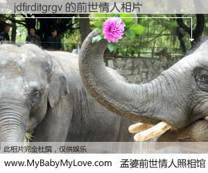 #孟婆前世情人照相馆# 【jdfirditgrgv 的前世情人】前生，我们相亲相爱，相约下辈子还要在一起，你的誓言可别忘记。然而轮回路上的一碗孟婆汤，却将一切归零。茫茫人悔，谁是我的前世情人？jdfirditgrgv 的前世情人，有图有真相：