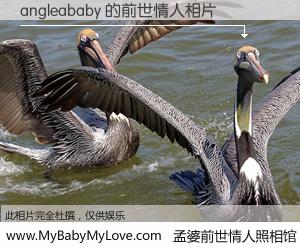 #孟婆前世情人照相馆# 【angleababy 的前世情人】前生，我们相亲相爱，相约下辈子还要在一起，你的誓言可别忘记。然而轮回路上的一碗孟婆汤，却将一切归零。茫茫人悔，谁是我的前世情人？angleababy 的前世情人，有图有真相：