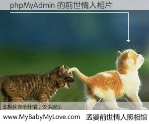 #孟婆前世情人照相馆# 【phpMyAdmin 的前世情人】前生，我们相亲相爱，相约下辈子还要在一起，你的誓言可别忘记。然而轮回路上的一碗孟婆汤，却将一切归零。茫茫人悔，谁是我的前世情人？phpMyAdmin 的前世情人，有图有真相：