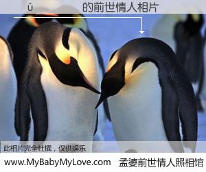 #孟婆前世情人照相馆# 【������ 的前世情人】前生，我们相亲相爱，相约下辈子还要在一起，你的誓言可别忘记。然而轮回路上的一碗孟婆汤，却将一切归零。茫茫人悔，谁是我的前世情人？������ 的前世情人，有图有真相：