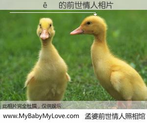 #孟婆前世情人照相馆# 【������ 的前世情人】前生，我们相亲相爱，相约下辈子还要在一起，你的誓言可别忘记。然而轮回路上的一碗孟婆汤，却将一切归零。茫茫人悔，谁是我的前世情人？������ 的前世情人，有图有真相：