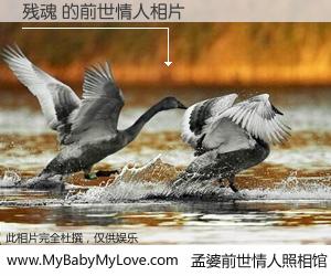 #孟婆前世情人照相馆# 【残魂 的前世情人】前生，我们相亲相爱，相约下辈子还要在一起，你的誓言可别忘记。然而轮回路上的一碗孟婆汤，却将一切归零。茫茫人悔，谁是我的前世情人？残魂 的前世情人，有图有真相：