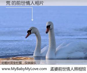 #孟婆前世情人照相馆# 【荒 的前世情人】前生，我们相亲相爱，相约下辈子还要在一起，你的誓言可别忘记。然而轮回路上的一碗孟婆汤，却将一切归零。茫茫人悔，谁是我的前世情人？荒 的前世情人，有图有真相：