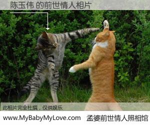 #孟婆前世情人照相馆# 【陈玉伟 的前世情人】前生，我们相亲相爱，相约下辈子还要在一起，你的誓言可别忘记。然而轮回路上的一碗孟婆汤，却将一切归零。茫茫人悔，谁是我的前世情人？陈玉伟 的前世情人，有图有真相：
