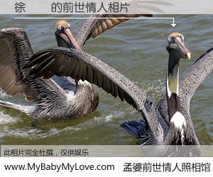 #孟婆前世情人照相馆# 【徐瑋璘 的前世情人】前生，我们相亲相爱，相约下辈子还要在一起，你的誓言可别忘记。然而轮回路上的一碗孟婆汤，却将一切归零。茫茫人悔，谁是我的前世情人？徐瑋璘 的前世情人，有图有真相：