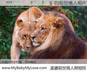 #孟婆前世情人照相馆# 【???����?��?�� 的前世情人】前生，我们相亲相爱，相约下辈子还要在一起，你的誓言可别忘记。然而轮回路上的一碗孟婆汤，却将一切归零。茫茫人悔，谁是我的前世情人？???����?��?�� 的前世情人，有图有真相：