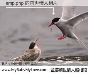 #孟婆前世情人照相馆# 【emp.php 的前世情人】前生，我们相亲相爱，相约下辈子还要在一起，你的誓言可别忘记。然而轮回路上的一碗孟婆汤，却将一切归零。茫茫人悔，谁是我的前世情人？emp.php 的前世情人，有图有真相：