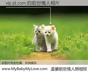 #孟婆前世情人照相馆# 【vip.jd.com 的前世情人】前生，我们相亲相爱，相约下辈子还要在一起，你的誓言可别忘记。然而轮回路上的一碗孟婆汤，却将一切归零。茫茫人悔，谁是我的前世情人？vip.jd.com 的前世情人，有图有真相：