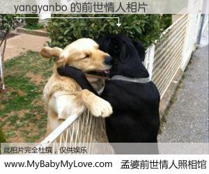 #孟婆前世情人照相馆# 【yangyanbo 的前世情人】前生，我们相亲相爱，相约下辈子还要在一起，你的誓言可别忘记。然而轮回路上的一碗孟婆汤，却将一切归零。茫茫人悔，谁是我的前世情人？yangyanbo 的前世情人，有图有真相：