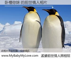 #孟婆前世情人照相馆# 【卧槽你妹 的前世情人】前生，我们相亲相爱，相约下辈子还要在一起，你的誓言可别忘记。然而轮回路上的一碗孟婆汤，却将一切归零。茫茫人悔，谁是我的前世情人？卧槽你妹 的前世情人，有图有真相：