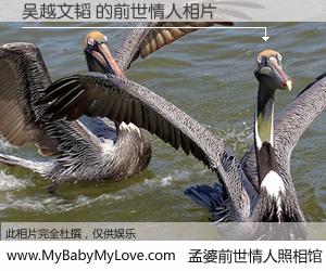 #孟婆前世情人照相馆# 【吴越文韬 的前世情人】前生，我们相亲相爱，相约下辈子还要在一起，你的誓言可别忘记。然而轮回路上的一碗孟婆汤，却将一切归零。茫茫人悔，谁是我的前世情人？吴越文韬 的前世情人，有图有真相：