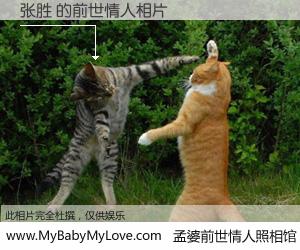 #孟婆前世情人照相馆# 【张胜 的前世情人】前生，我们相亲相爱，相约下辈子还要在一起，你的誓言可别忘记。然而轮回路上的一碗孟婆汤，却将一切归零。茫茫人悔，谁是我的前世情人？张胜 的前世情人，有图有真相：