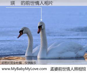 #孟婆前世情人照相馆# 【張瑛鳳 的前世情人】前生，我们相亲相爱，相约下辈子还要在一起，你的誓言可别忘记。然而轮回路上的一碗孟婆汤，却将一切归零。茫茫人悔，谁是我的前世情人？張瑛鳳 的前世情人，有图有真相：