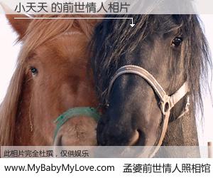 #孟婆前世情人照相馆# 【小天天 的前世情人】前生，我们相亲相爱，相约下辈子还要在一起，你的誓言可别忘记。然而轮回路上的一碗孟婆汤，却将一切归零。茫茫人悔，谁是我的前世情人？小天天 的前世情人，有图有真相：