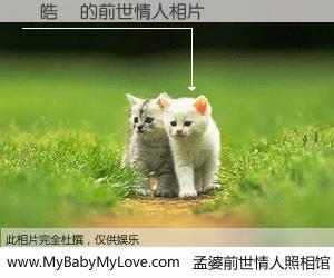 #孟婆前世情人照相馆# 【楊皓鈞 的前世情人】前生，我们相亲相爱，相约下辈子还要在一起，你的誓言可别忘记。然而轮回路上的一碗孟婆汤，却将一切归零。茫茫人悔，谁是我的前世情人？楊皓鈞 的前世情人，有图有真相：