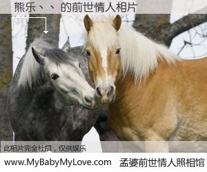 #孟婆前世情人照相馆# 【熊乐丶丶 的前世情人】前生，我们相亲相爱，相约下辈子还要在一起，你的誓言可别忘记。然而轮回路上的一碗孟婆汤，却将一切归零。茫茫人悔，谁是我的前世情人？熊乐丶丶 的前世情人，有图有真相：