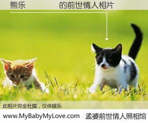 #孟婆前世情人照相馆# 【熊乐💓 的前世情人】前生，我们相亲相爱，相约下辈子还要在一起，你的誓言可别忘记。然而轮回路上的一碗孟婆汤，却将一切归零。茫茫人悔，谁是我的前世情人？熊乐💓 的前世情人，有图有真相：