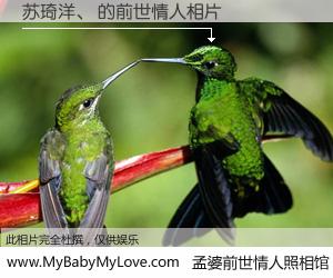 #孟婆前世情人照相馆# 【苏琦洋、 的前世情人】前生，我们相亲相爱，相约下辈子还要在一起，你的誓言可别忘记。然而轮回路上的一碗孟婆汤，却将一切归零。茫茫人悔，谁是我的前世情人？苏琦洋、 的前世情人，有图有真相：