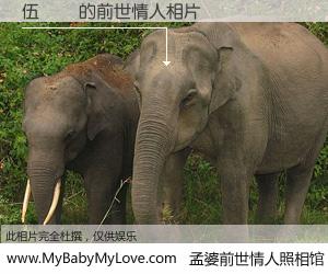 #孟婆前世情人照相馆# 【伍靜儀 的前世情人】前生，我们相亲相爱，相约下辈子还要在一起，你的誓言可别忘记。然而轮回路上的一碗孟婆汤，却将一切归零。茫茫人悔，谁是我的前世情人？伍靜儀 的前世情人，有图有真相：