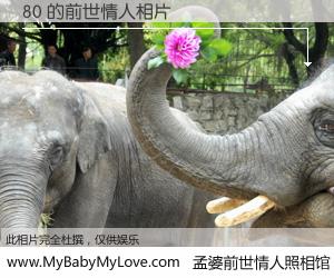 #孟婆前世情人照相馆# 【80 的前世情人】前生，我们相亲相爱，相约下辈子还要在一起，你的誓言可别忘记。然而轮回路上的一碗孟婆汤，却将一切归零。茫茫人悔，谁是我的前世情人？80 的前世情人，有图有真相：