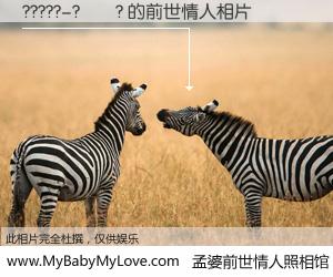 #孟婆前世情人照相馆# 【?????-?��? 的前世情人】前生，我们相亲相爱，相约下辈子还要在一起，你的誓言可别忘记。然而轮回路上的一碗孟婆汤，却将一切归零。茫茫人悔，谁是我的前世情人？?????-?��? 的前世情人，有图有真相：
