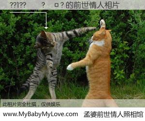 #孟婆前世情人照相馆# 【??1??��?��? 的前世情人】前生，我们相亲相爱，相约下辈子还要在一起，你的誓言可别忘记。然而轮回路上的一碗孟婆汤，却将一切归零。茫茫人悔，谁是我的前世情人？??1??��?��? 的前世情人，有图有真相：