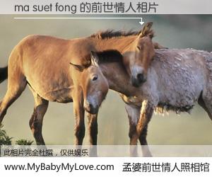 #孟婆前世情人照相馆# 【ma suet fong 的前世情人】前生，我们相亲相爱，相约下辈子还要在一起，你的誓言可别忘记。然而轮回路上的一碗孟婆汤，却将一切归零。茫茫人悔，谁是我的前世情人？ma suet fong 的前世情人，有图有真相：