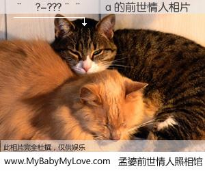 #孟婆前世情人照相馆# 【��?-???����a 的前世情人】前生，我们相亲相爱，相约下辈子还要在一起，你的誓言可别忘记。然而轮回路上的一碗孟婆汤，却将一切归零。茫茫人悔，谁是我的前世情人？��?-???����a 的前世情人，有图有真相：