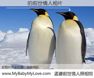 #孟婆前世情人照相馆# 【Ҷʱ�� 的前世情人】前生，我们相亲相爱，相约下辈子还要在一起，你的誓言可别忘记。然而轮回路上的一碗孟婆汤，却将一切归零。茫茫人悔，谁是我的前世情人？Ҷʱ�� 的前世情人，有图有真相：