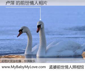 #孟婆前世情人照相馆# 【卢萍 的前世情人】前生，我们相亲相爱，相约下辈子还要在一起，你的誓言可别忘记。然而轮回路上的一碗孟婆汤，却将一切归零。茫茫人悔，谁是我的前世情人？卢萍 的前世情人，有图有真相：